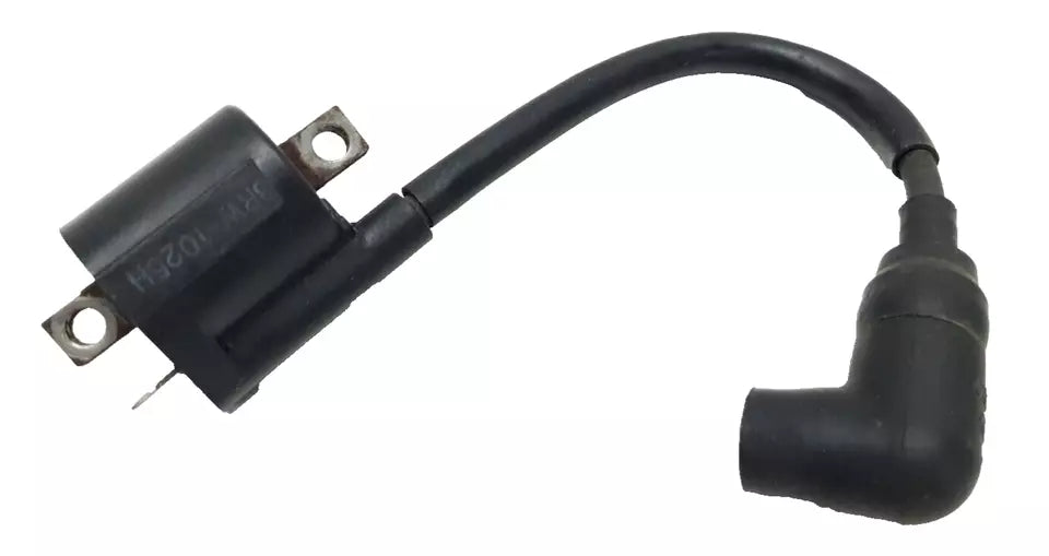 Bobine d'allumage Yamaha TDR 125 2002 Réf : 3RW-82310-10