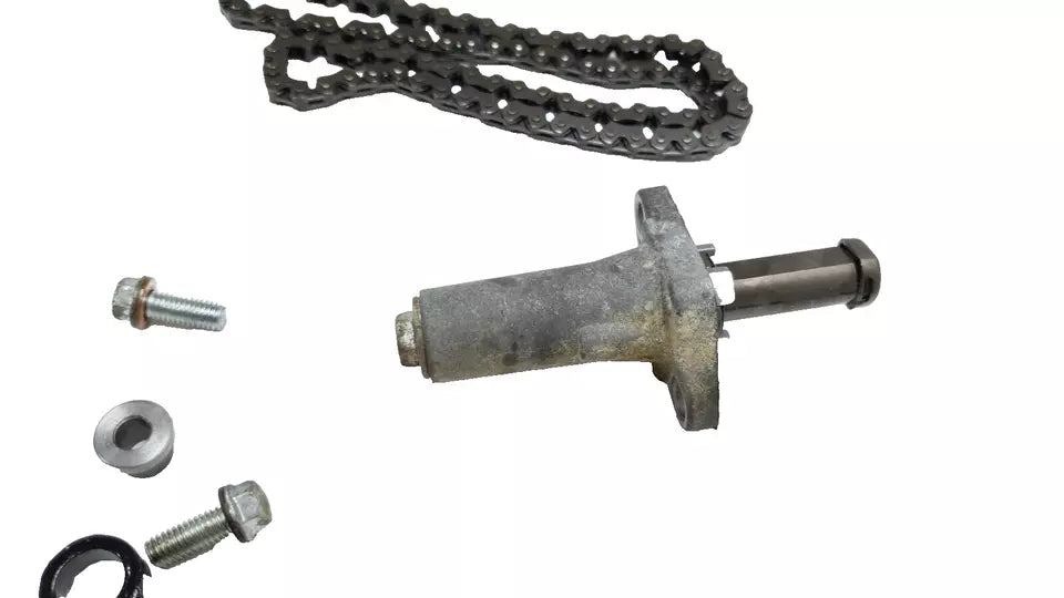 Tendeur / Chaîne / Guides de distribution Yamaha YBR 125 2010 Réf : 5VL-12210-10