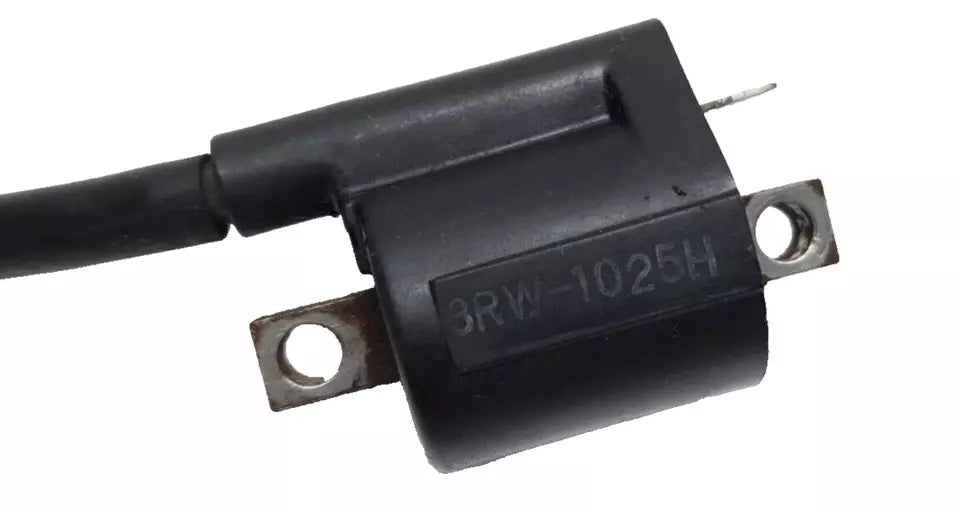 Bobine d'allumage Yamaha TDR 125 2002 Réf : 3RW-82310-10