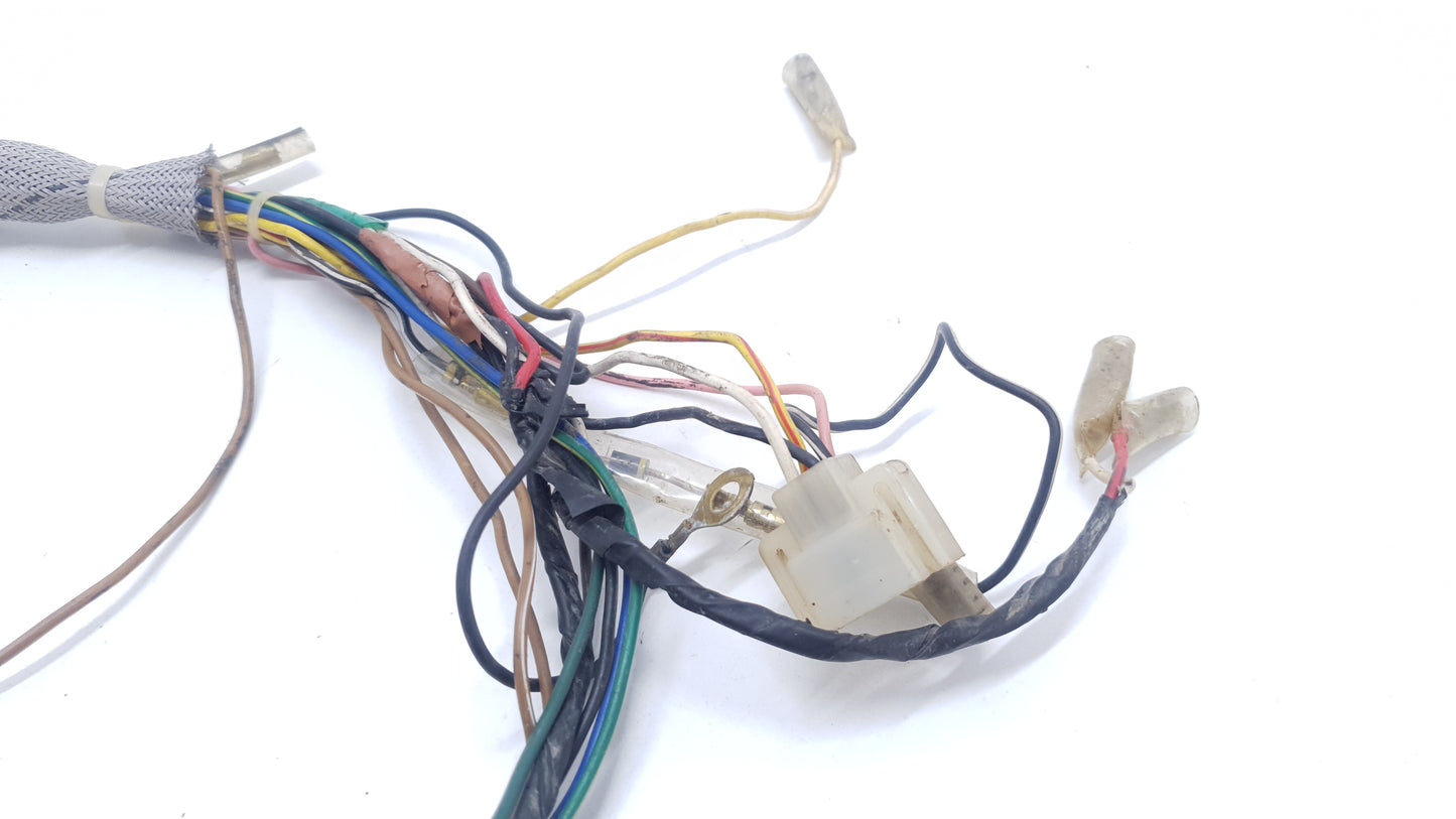 Faisceau électrique Yamaha DTMX 50 1981 Electrical harness