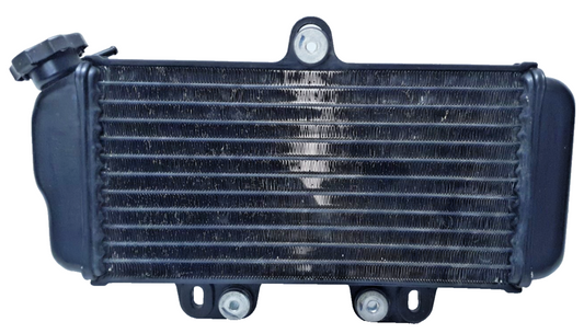 Radiateur Yamaha TDR 125 1998 Réf : 4FU124610000