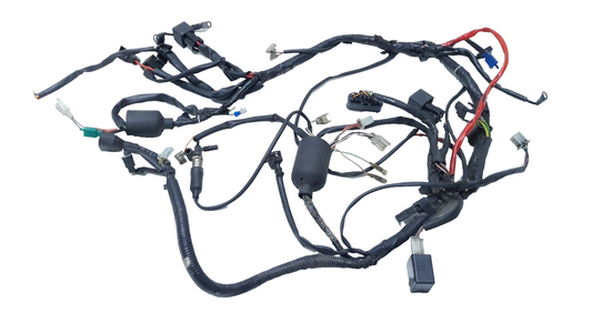 Faisceau électrique Yamaha TZR 50 2008 n°4 Réf : 5WXH25902000