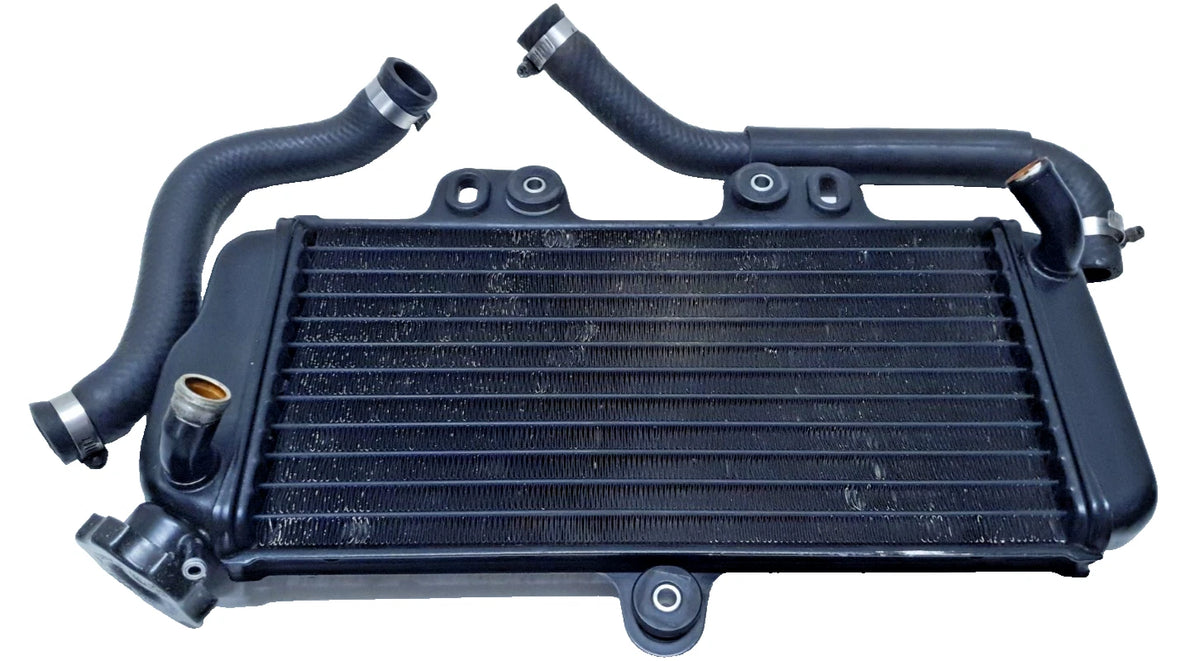 Radiateur Yamaha TDR 125 1997 Réf : 4FU-12461-00