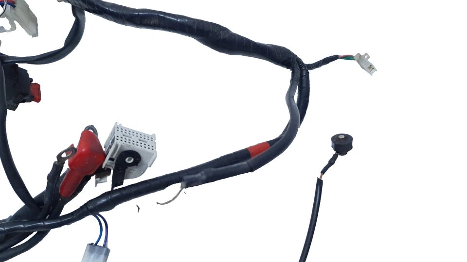 Faisceau électrique Aprilia RS 50 2008 Réf : 861042