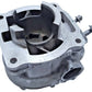 Cylindre 56mm Yamaha TDR 125 1997 Réf : 5AE-11310-00
