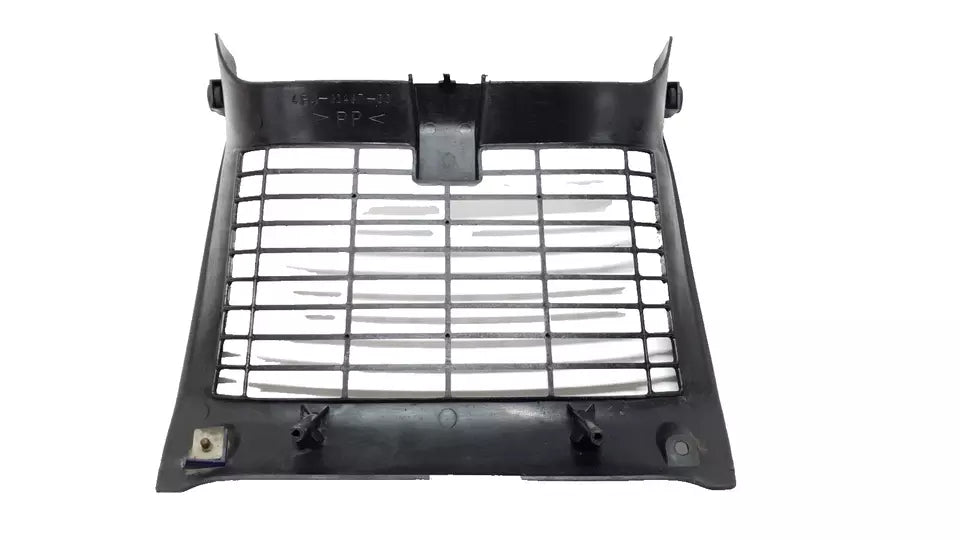 Grille de radiateur Yamaha TDR 125 2002 Réf : 4FU-12467-10