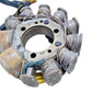 Stator d'allumage Kawasaki KMX 125 1988 Réf : 210031224