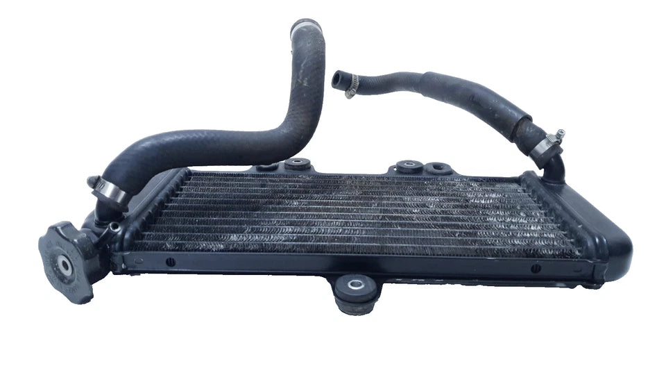 Radiateur de liquide de refroidissement Yamaha TDR 125 2002 n°2 Réf 4FU124610000