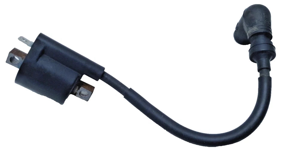 Bobine d'allumage Yamaha TDR 125 1998 Réf : 3RW823101000