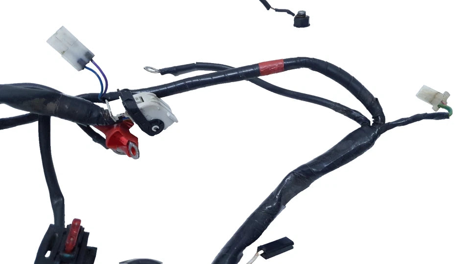 Faisceau électrique Aprilia RS 50 2008 Réf : 861042