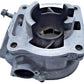 Cylindre 56mm Yamaha TDR 125 1997 Réf : 5AE-11310-00