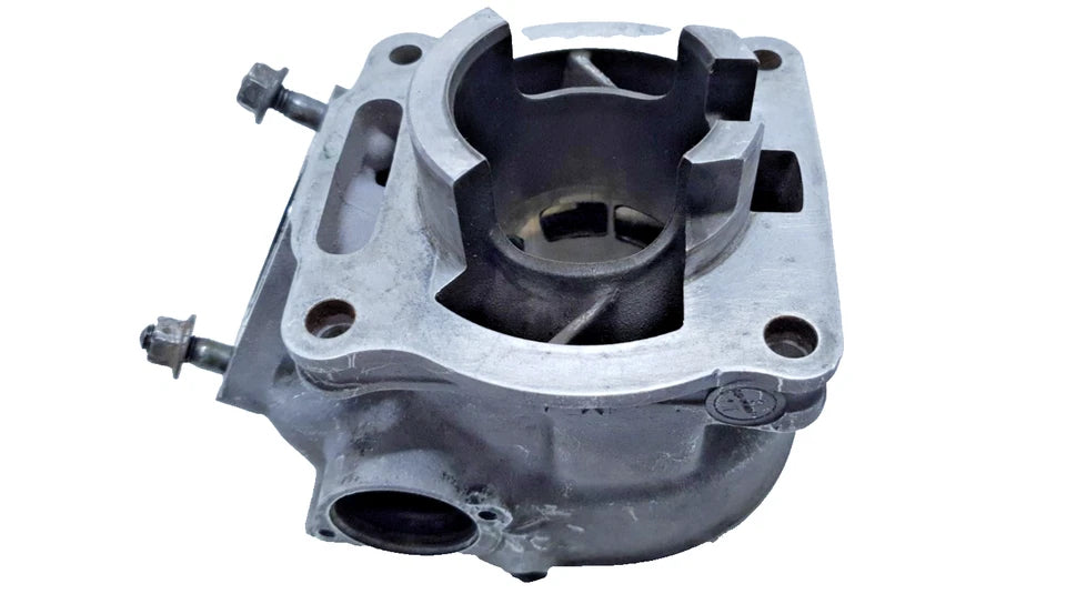 Cylindre 56mm Yamaha TDR 125 1997 Réf : 5AE-11310-00