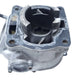 Cylindre 56mm Yamaha TDR 125 1990 Réf : 3SHE13110000
