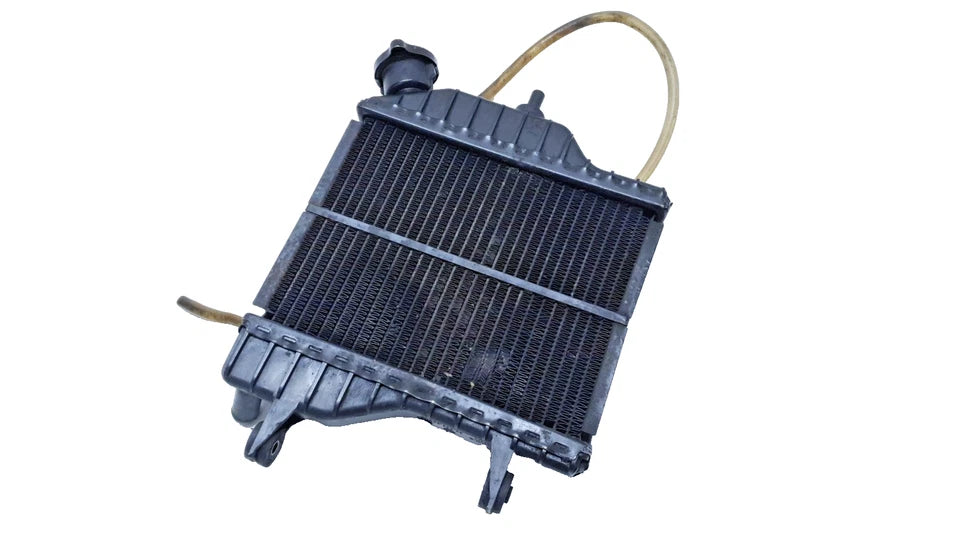 Radiateur Yamaha TZR 50 2009 Réf : 4BAE24600000