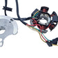 Stator d'allumage Aprilia RS 50 2008 Réf : 847065